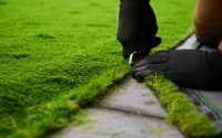 The Green Revolution: Leading the Way in Artificial Grass Installation