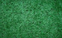 Save Time and Money with Experienced Artificial Grass Installers