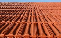 Red Beard Roofing Quality Roofing Solutions You Can Trust