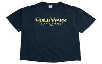 Upgrade Your Gaming Collection with Guildwars2 Official Merch